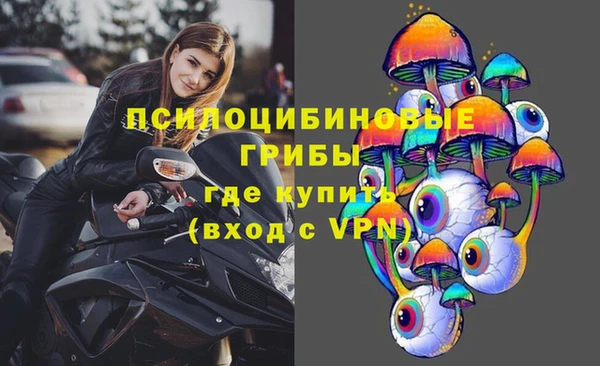 PSILOCYBIN Верхнеуральск