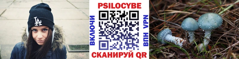 где можно купить   Весьегонск  Галлюциногенные грибы мухоморы 